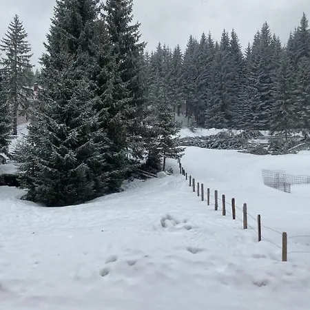 Apartamento Winter Place