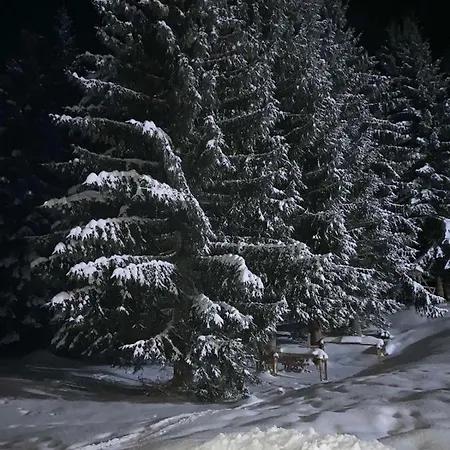 Winter Place Apartman Jahorina