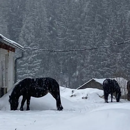Winter Place Jahorina