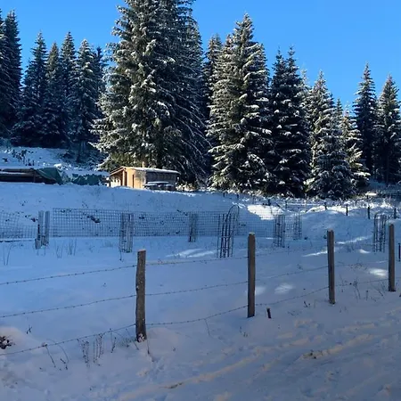 Winter Place Apartamento