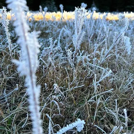 Winter Place Apartamento